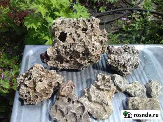Камни для аквариума, ракушки и коралл Самара