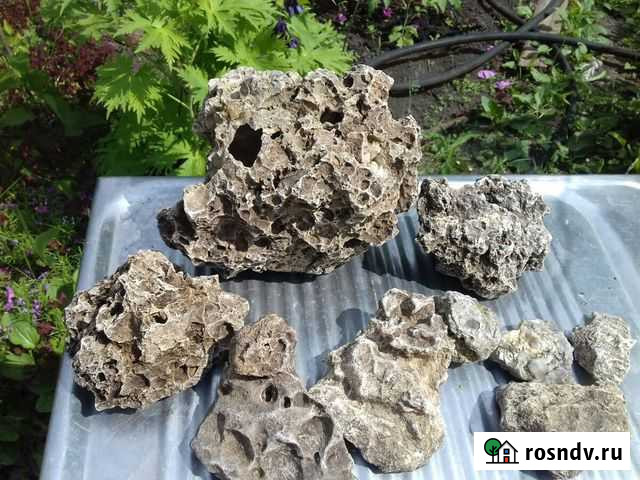 Камни для аквариума, ракушки и коралл Самара - изображение 1