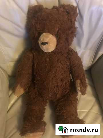 Медведь старинный Калининград - изображение 1