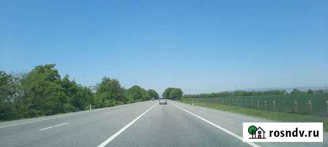 Сруб дерева Грозный - изображение 1