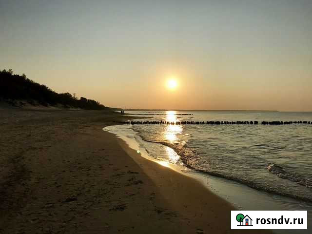 Поездки экскурсии на Куршскую Косу Калининград - изображение 1