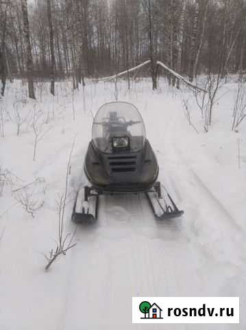 Рысь Киров - изображение 1