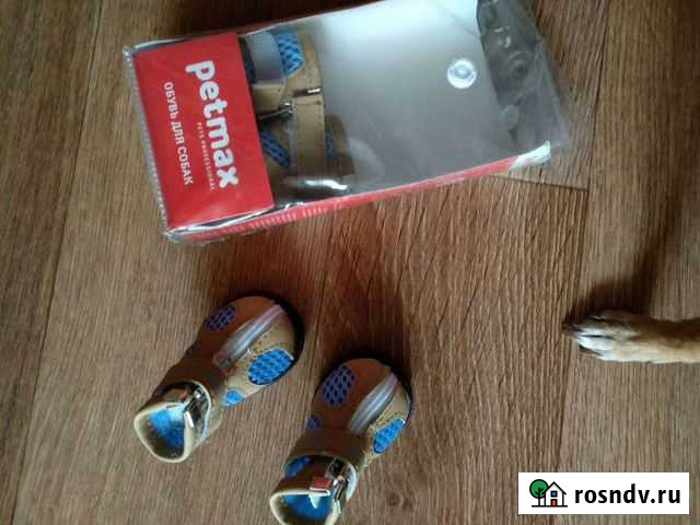 Ботиночки для мелкой собаки Волгоград - изображение 1