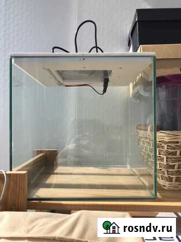 Террариум Челябинск - изображение 1