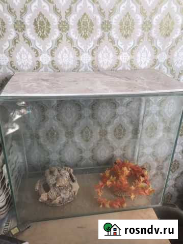 Аквариум Волгоград - изображение 1