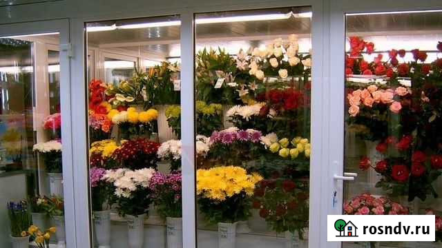 Цветочная камера кхн-11.0(316019602200) Ипатово - изображение 1