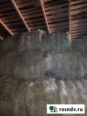 Сено 3ц не было под дождем 1200 Алейск - изображение 1