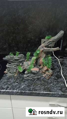 Коряги для аквариума Челябинск - изображение 1