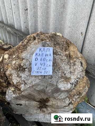 Кап различных видов древесины,изделия из древесины Липецк - изображение 1