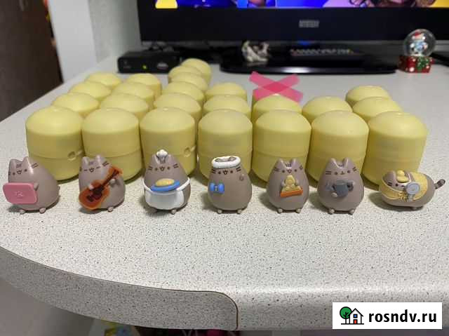 Киндеры-котики Петрозаводск - изображение 1