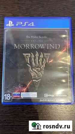 The elder scrolls Воронеж