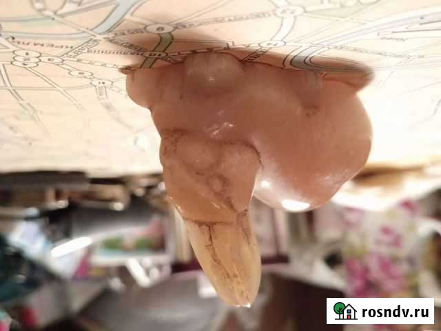 Фарфоровые статуэтки Таганрог - изображение 1