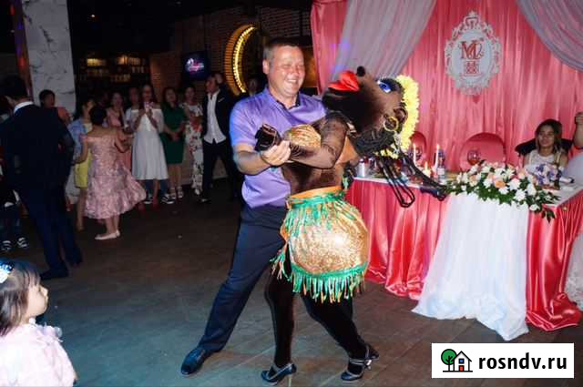 Ведущая Иваново - изображение 1