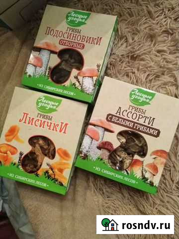 Лисички, опята, белые грибы, красные Ульяновск - изображение 1