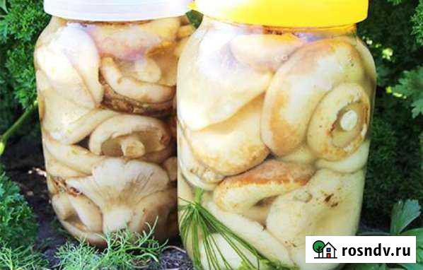 Грибы грузди солёные 1 л Ульяновск - изображение 1