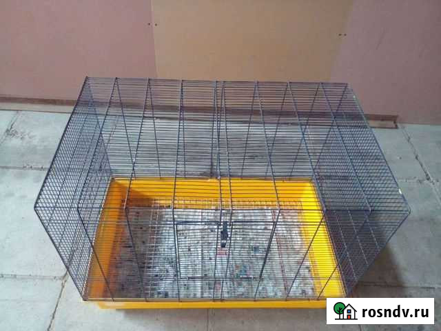 Клетка Барнаул - изображение 1