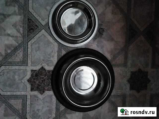 Миски для собак Энгельс - изображение 1