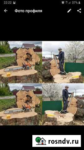 Спил деревьев Брянск - изображение 1