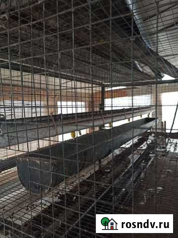 Клетка для бройлеров Звенигород - изображение 1