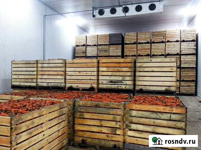 Холодильное Оборудование для овощехранилища Волгоград - изображение 1