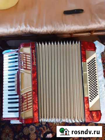 Оккардион Кемерово - изображение 1