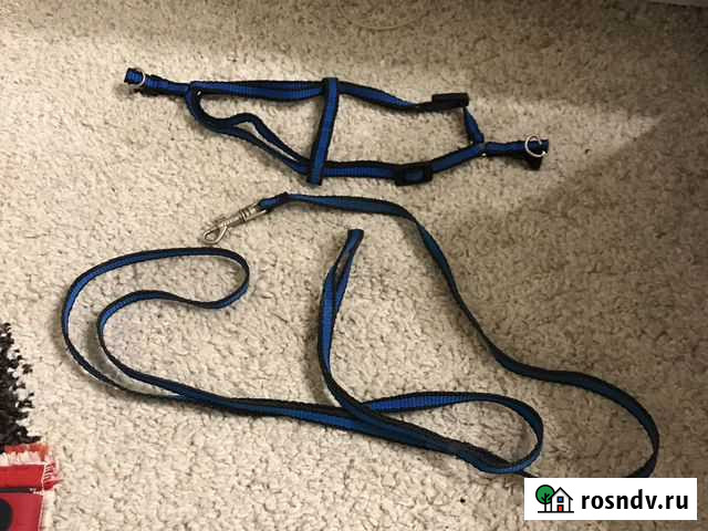 Шлейка для маленькой собаки Самара - изображение 1