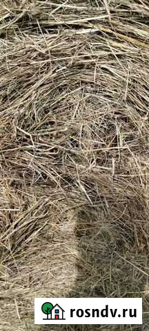 Сено в тюках Шацк - изображение 1