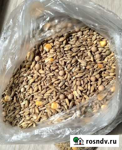 Зерновой корм для декоративного кролика Казань - изображение 1