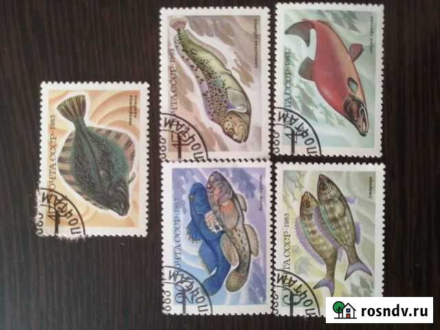 Марки + альбом Северск - изображение 1