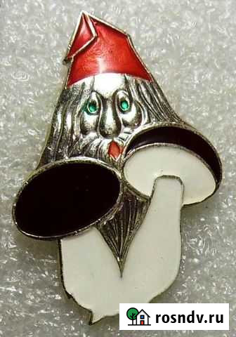Значок Старичок Боровичок 1968-77 гг Казань - изображение 1