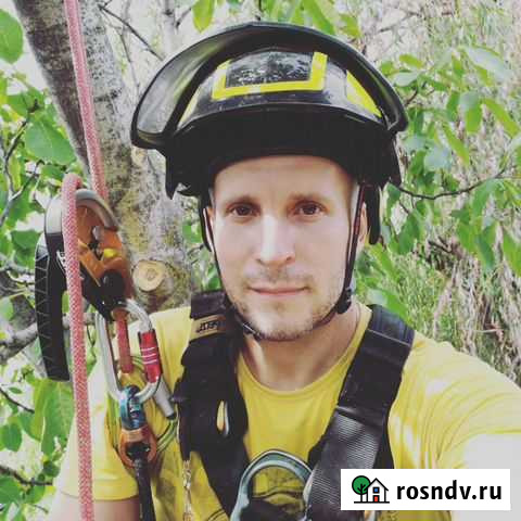 Спил деревьев без вышки. Арборист Ростов-на-Дону - изображение 1