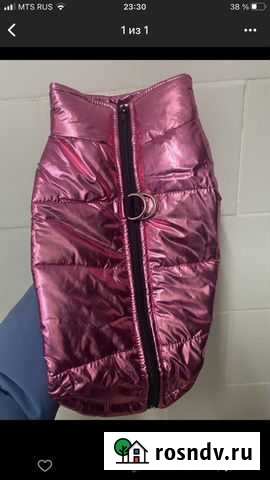 Жилет для питомца Вологда - изображение 1