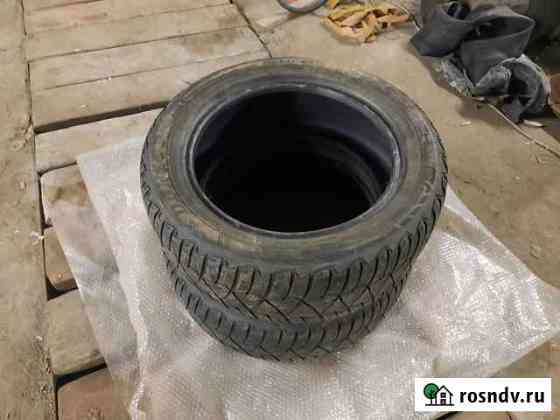 Dunlop 205/55 R16, 2 шт Нижний Новгород