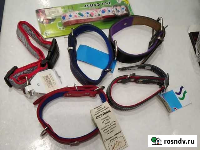 Ошейники для собак Калининград - изображение 1