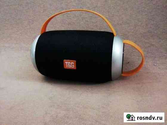 Колонка беспроводная Bluetooth T&G TG112 Петрозаводск