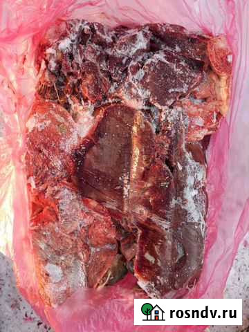 Обрезь для собак Тюмень - изображение 1