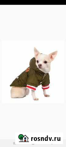 Курточка для собак, М(Petmax) Тула - изображение 1