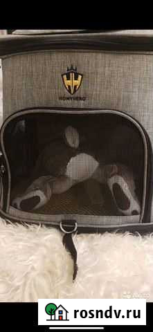 Рюкзак переноска для животных Киров - изображение 1