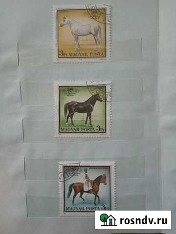 Марки. Лошади. Венгрия Троицк - изображение 1