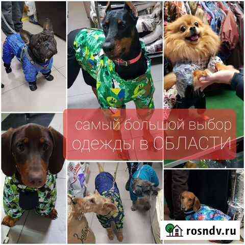 Одежда и обувь для собак любых размеров Иркутск