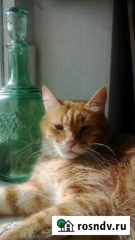 Графин зеленый виноград стекло СССР Нижний Новгород - изображение 1