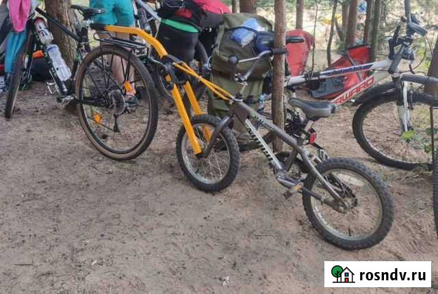 Велоштанга Ярославль - изображение 1