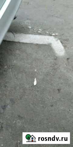 Двигоатель- Фольцваген Прохладный - изображение 1