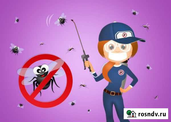 Дезинсекция Санкт-Петербург - изображение 1