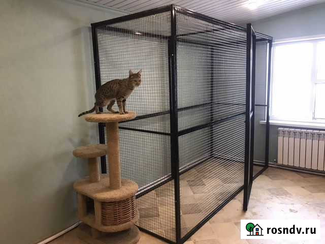 Вольер для кошек разборный Казань Казань - изображение 1