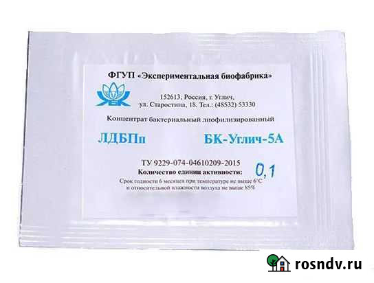 Закваска для сыра бк-Углич-5А Анапа - изображение 1