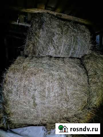 Сено Ромоданово - изображение 1