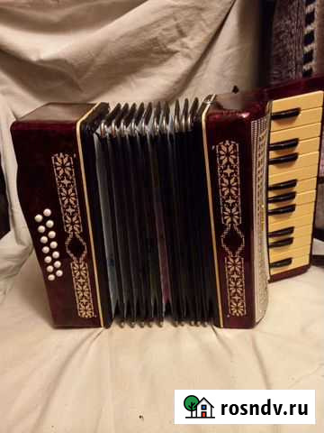 Аккордеон Волгоград - изображение 1