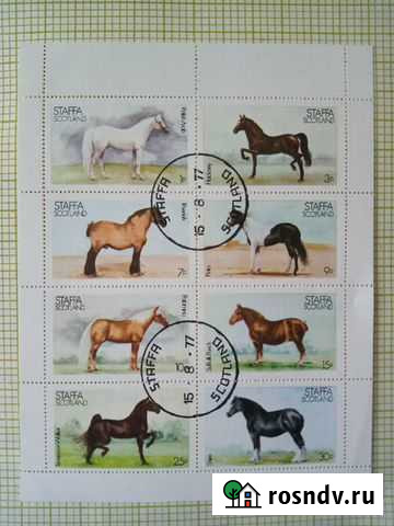 Марки. Лошади Троицк - изображение 1