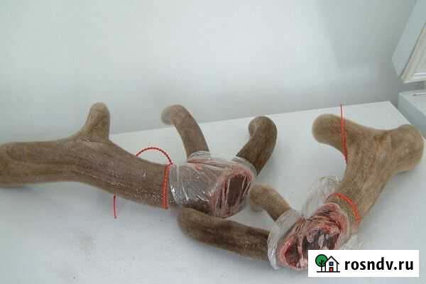 Пантакрин Абакан - изображение 1